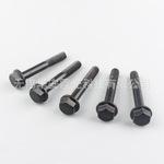 六角螺母螺钉厂家