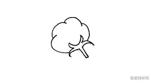 棉花简笔画画法步骤