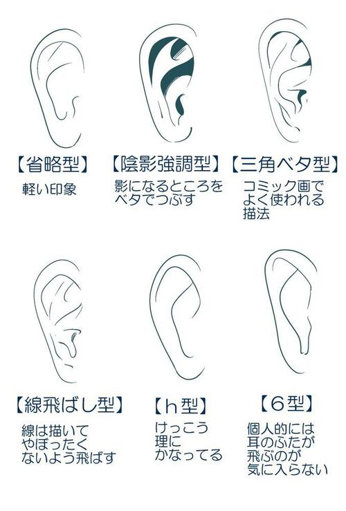 绘画参考#耳朵的结构和画法
