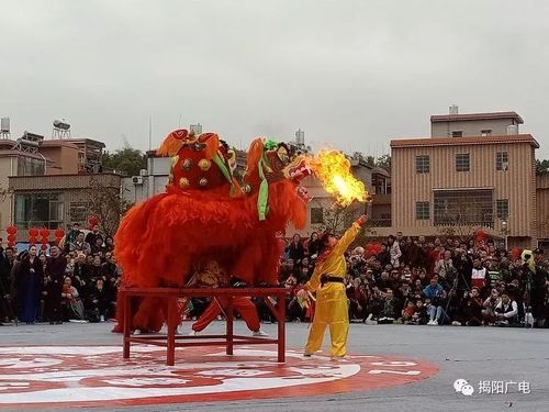 牛!揭阳青狮队勇夺中国狮王大会最高奖——"金狮奖"