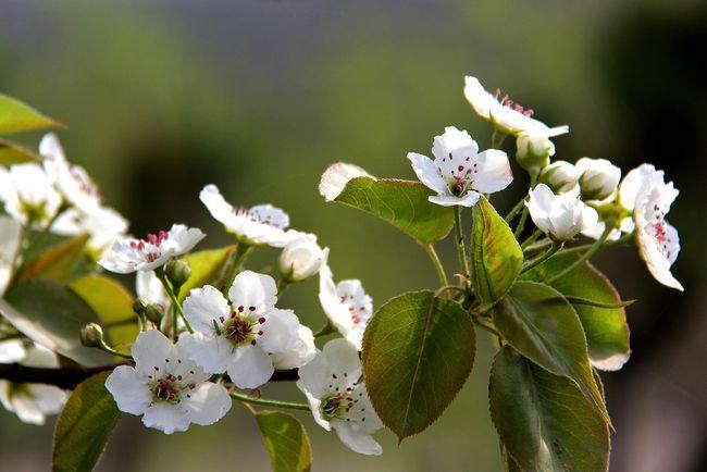 想要生活过得去,退休后,就要远离这3种生活状态!