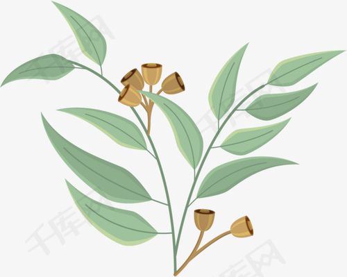 卡通矢量深色桉树叶