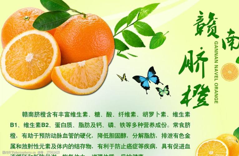 赣州脐橙广告宣传
