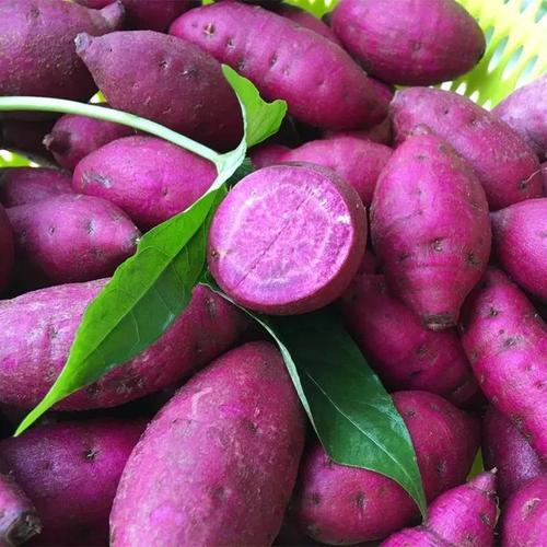 广西巴马小紫薯5斤装 | 肉质细腻 软绵爽滑