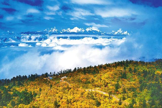 石棉王岗坪:大地披彩秋意浓_景区