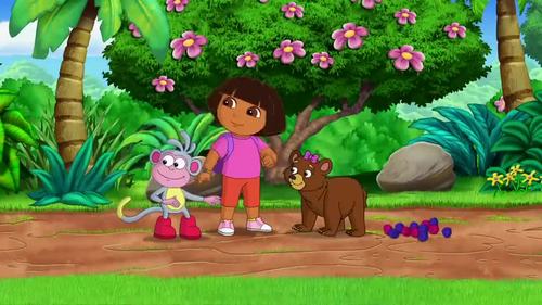 爱探险的朵拉:捣蛋鬼的伪装,吸引熊宝宝过去,真是太坏