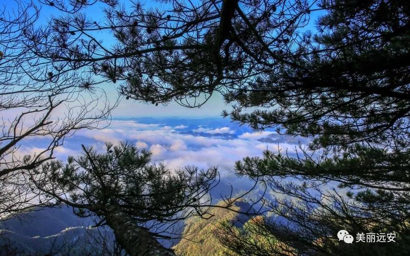 太平顶享有"远安第一山"之美誉,海拔1325.