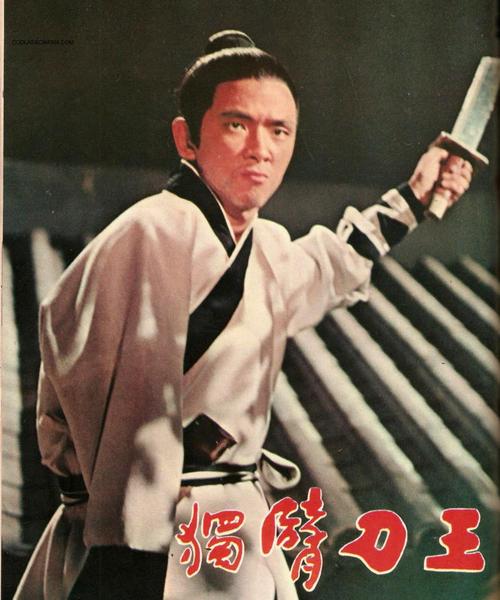 独臂刀王