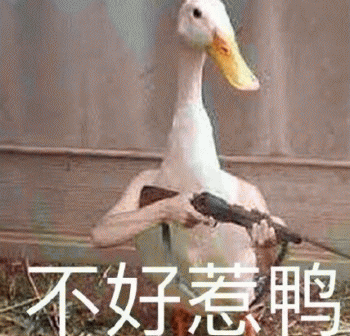 白色鸭子表情包 [嘎嘎嘎嘎. 以鹅传鹅]