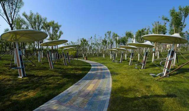 图片来源:掌上天津 西青体育公园  葛沽镇曲苑花溪公园  李七庄铁路