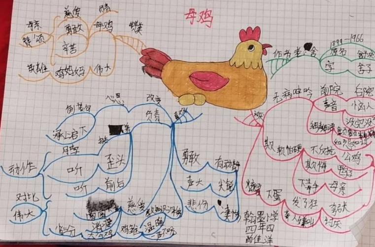 四年四班《母鸡》思维导图集