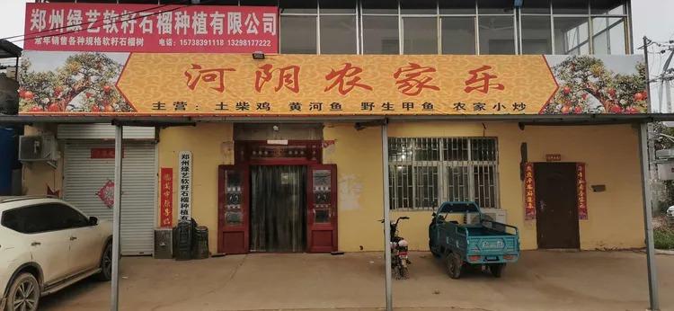 石榴采摘季《9月28日》荥阳河阴摘石榴,采大枣,农家乐就餐,黄河边野趣