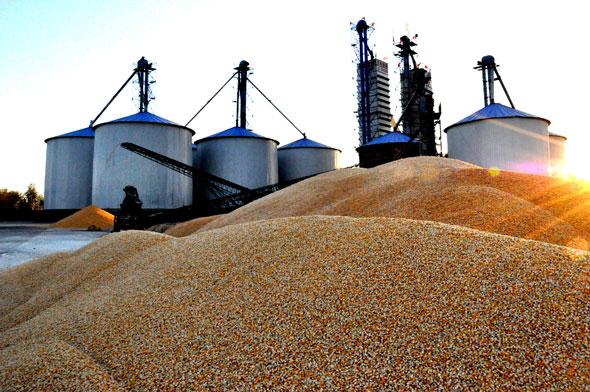 产粮连增仍进口 因大量粮食在仓库.jpg