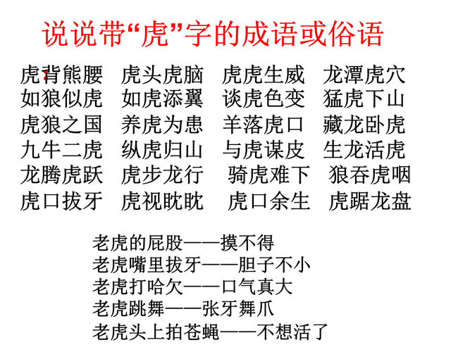28,华南虎课件.ppt