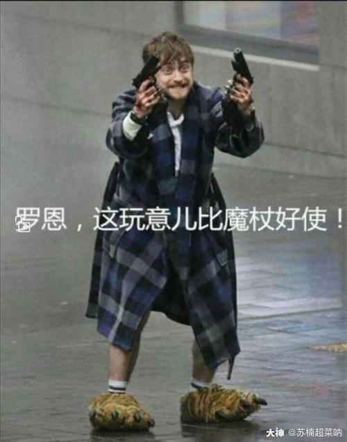 哈利波特表情包