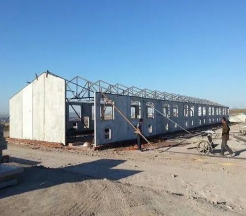 太实用!农村小型养猪场设计,最低成本科学养猪简易猪栏猪舍建造图!