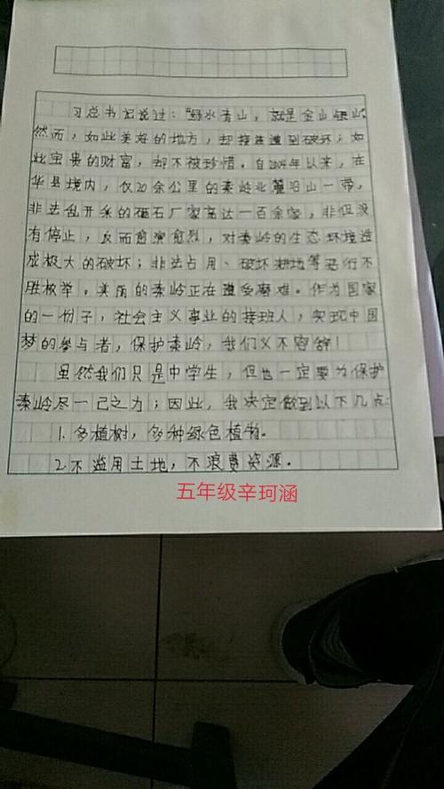 "秦岭生态环境保护"征文――恒州小学五年级