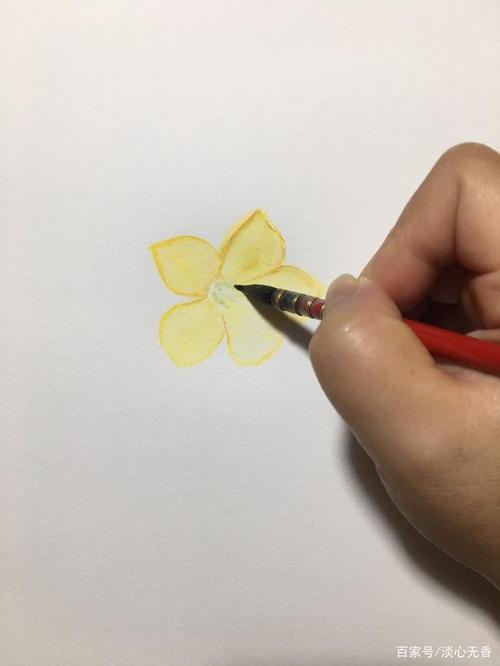 手绘美丽的迎春花