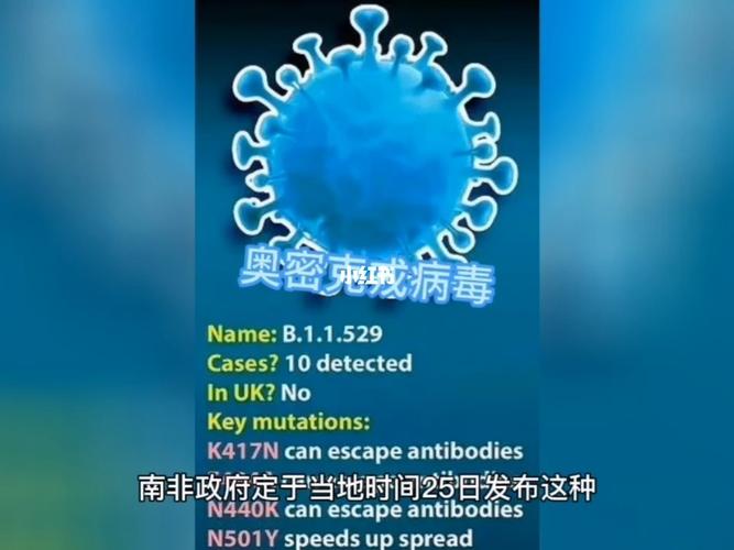 奥密克戎病毒_变异病毒_资讯_民生新闻