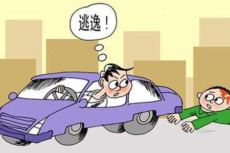 肇事逃逸交警让私了发生交通事故没人受伤逃逸后然后私了被抓回受什么