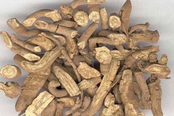 木香的功效与作用有什么 木香的食用方法有什么