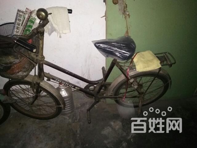 二手金狮牌自行车