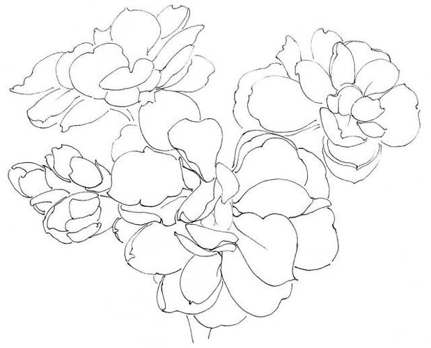 教程丨在纸上盛开的紫罗兰