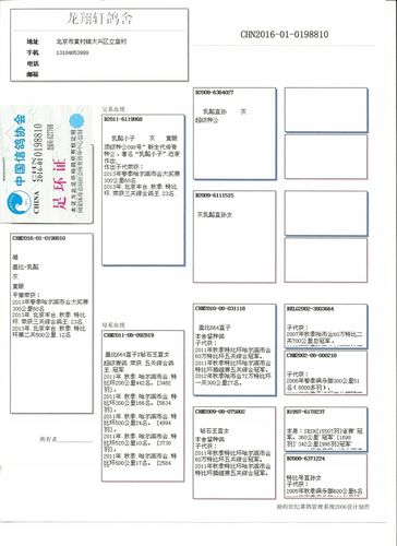 龙翔轩 - 中信网铭鸽展厅 www.ag188.com
