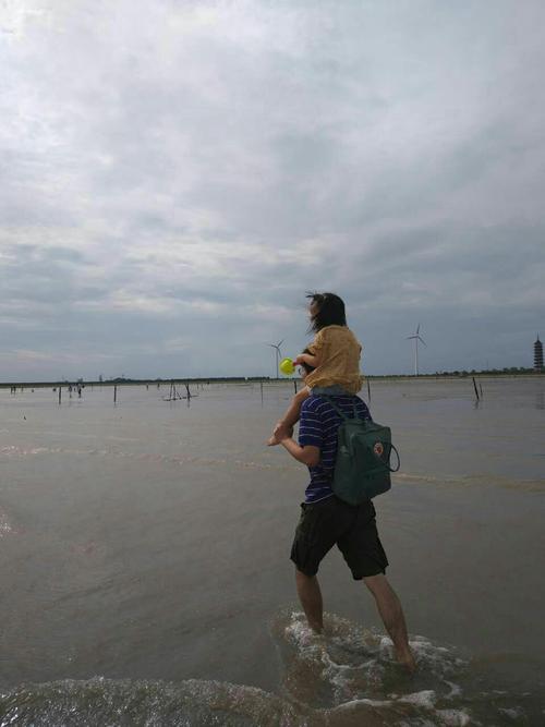 果然,今天是星期天,爸爸妈妈开车带着我来到奉贤海边!