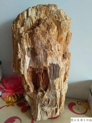 木化石值钱吗?