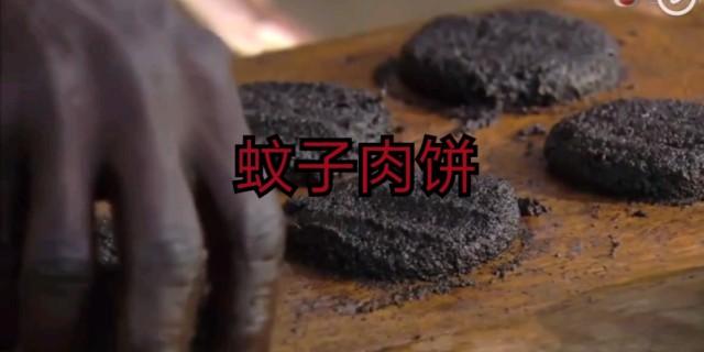 非洲人民传统美食:蚊子肉饼(一块饼50万只蚊子)_哔哩哔哩 (゜-゜)つロ