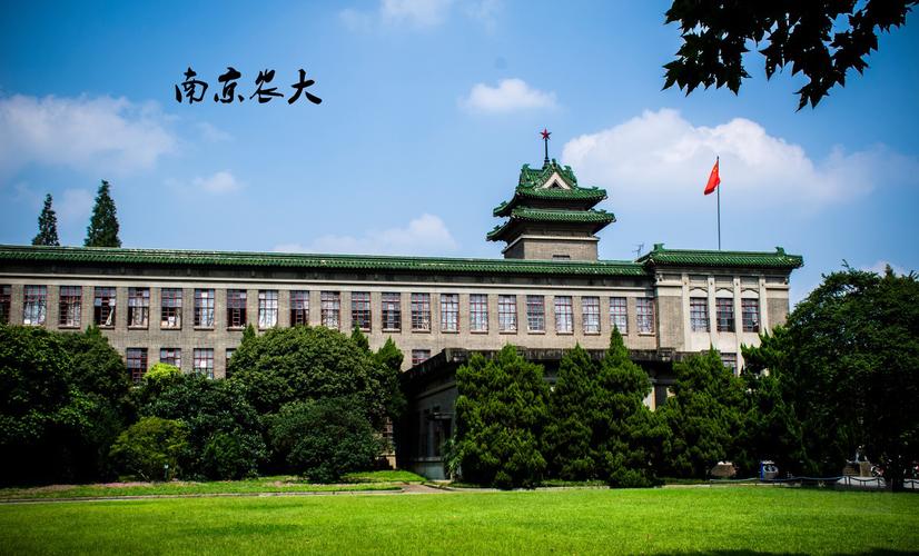 南京农业大学研究生招生网信息网,研究生报名时间