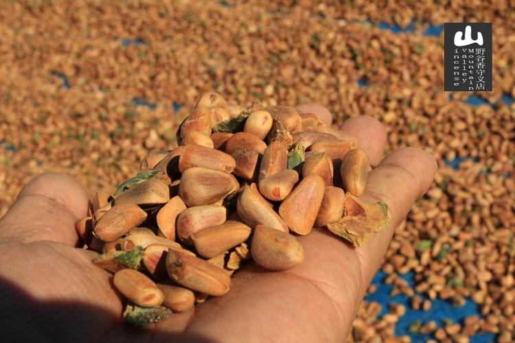 热卖东北长白山原味松子仁 新货 红松长粒大果仁熟的 小包装250g特价