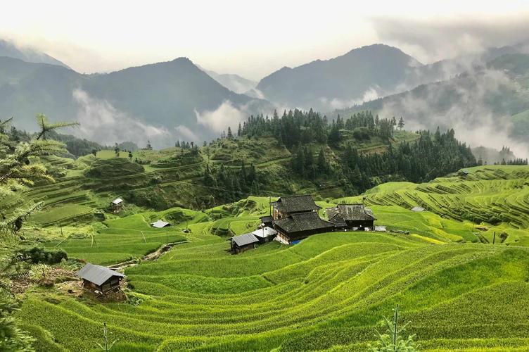 多彩贵州多彩行(三)——加榜梯田,西江千户苗寨