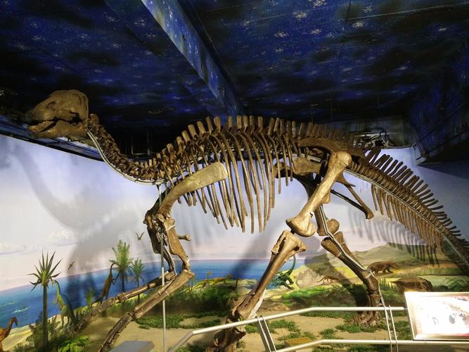 黑龙江省地质博物馆