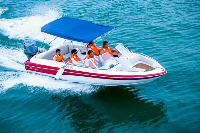 儿时的夏天记忆,园博