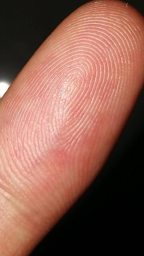 这个指纹是斗还是簸箕