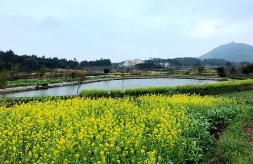 【原创】画里乡村——马塘