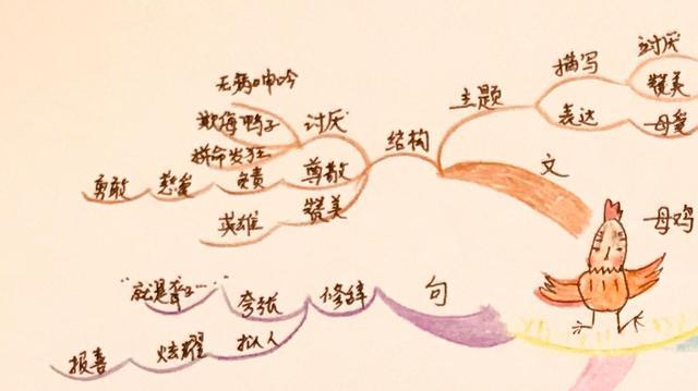 用思维导图复习课文《母鸡》,一步一步跟我走
