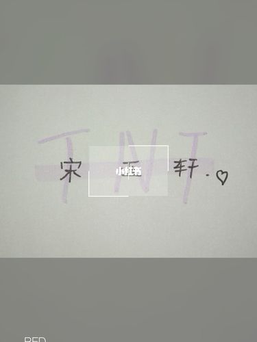 宋亚轩_宋亚轩_代写投稿_兴趣爱好_书法