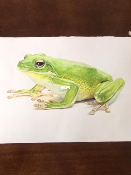 彩铅青蛙_彩铅_手绘_兴趣爱好_绘画