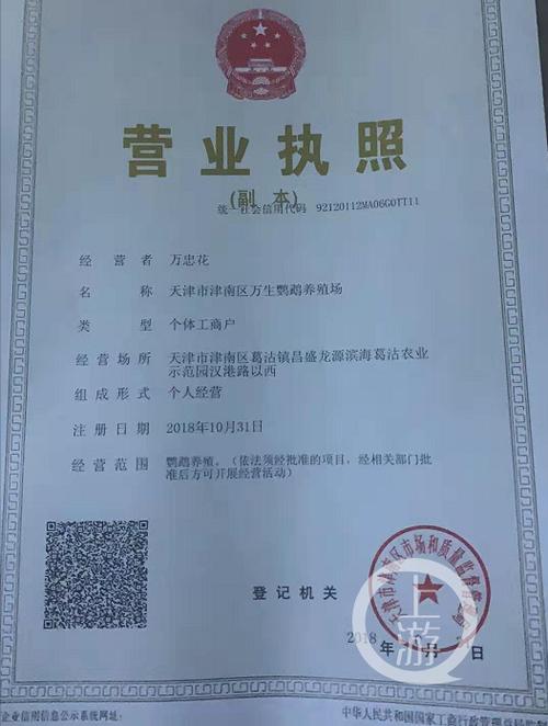 出售41只家养鹦鹉未报批,天津养殖场主