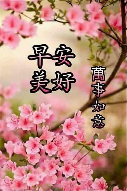 中老年人早安问候表情包 - 365表情包