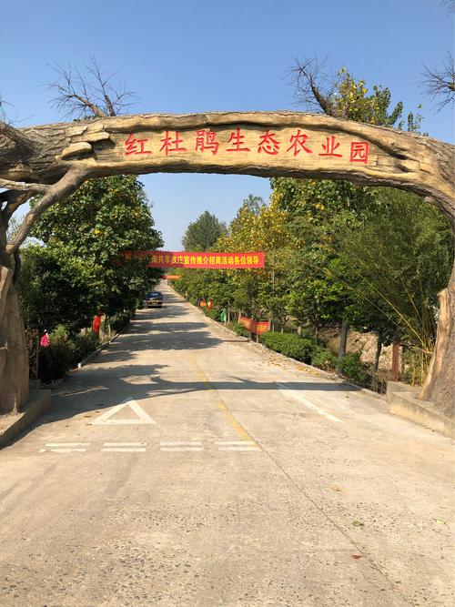 南京八卦洲佰上花渡有缘人2018.10.12