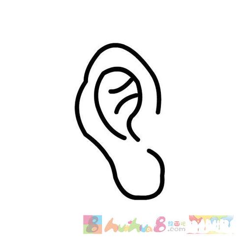 3像耳朵的简笔画图片怎么画简笔画教程_绘画吧-画画