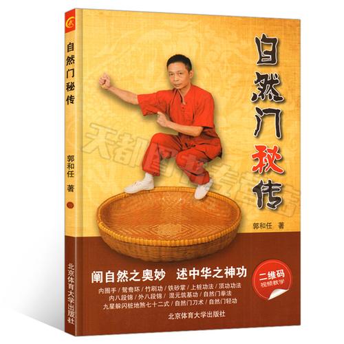 秘传八极拳心法武术气功易筋经武功书籍