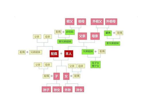 在法律案件里或起到大作用 那么扩大了近亲属范围,到底意味着什么呢?