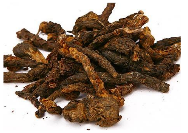 "沙漠人参"----大芸