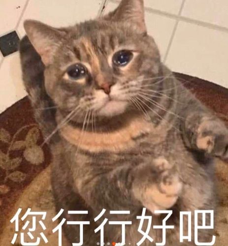您行行好吧_行行好表情
