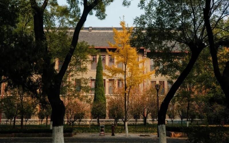 山东大学(中心校区)
